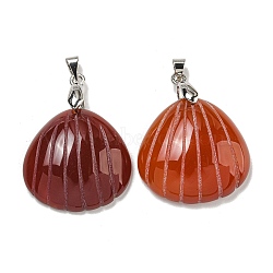 Dyed & Heated Natural Carnelian Pendants, Shell Shape Charms, with Rack Plating Platinum Tone Brass Findings, Cadmium Free & Lead Free, 32x25x8mm, Hole: 4x5mm(G-G147-04P)