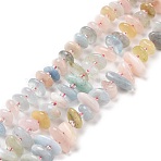 Natural Morganite Beads Strands, Chip, 5~18x3~9x2~5mm, Hole: 1mm, about 67~69pcs/strand, 15.55''(39.5~40cm)(G-D480-A05)