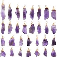 30Pcs Raw Rough Natural Amethyst Pendants, with Real 18K Gold Plated Eco-Friendly Copper Wire Wrapped, Nuggets, 26~31x8.5~9x5.5~7mm, Hole: 3mm(FIND-FH0004-86)