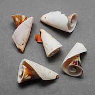 Spiral Shell Pendants, Shell, Chocolate, 26~55x10~30x10~30mm, Hole: 1~2mm(SSHEL-Q294-2)