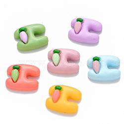 Resin Cabochons, Letter H with Carrot, Mixed Color, 20x17x6mm(X-CRES-N022-32)