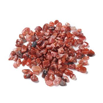 Natural South Red Agate Beads, No Hole/Undrilled, Nuggets, Tumbled Stone, Vase Filler Gems, 7~16x6~8x2~6mm, about 1428pcs/1000g