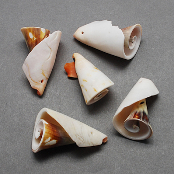 Spiral Shell Pendants, Shell, Chocolate, 26~55x10~30x10~30mm, Hole: 1~2mm