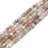 Natural Botswana Agate Beads Strands, Faceted, Cube, 2x2x2mm, Hole: 0.6mm, about 182pcs/strand, 15.16''~15.55''(38.5~39.5cm)(G-P457-B01-23)