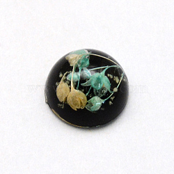 Luminous Resin Cabochons, Half Round/Dome, with Dried Flower inside, Black, 11.5~12x6~6.5mm(X-RESI-S320-12mm-009)