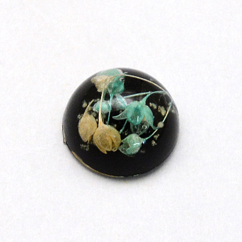 Luminous Resin Cabochons, Half Round/Dome, with Dried Flower inside, Black, 11.5~12x6~6.5mm