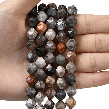 Natural Fossil Coral Beads Strands, Star Cut Round Beads, Faceted, 9~10x9~10x9~10mm, Hole: 1~1.4mm, about 38~40pcs/strand, 14.88''15.08''(37.8~38.3cm)