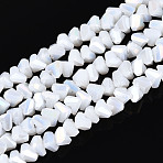 Electroplate Opaque Glass Beads Strands, Triangle, AB Color Plated, Faceted, White, 3~3.5x4~4.5x4~4.5mm, Hole: 0.8mm, about 121~131pcs/strand, 14.37~15.35 inch(36.5~39cm)(X-GLAA-N022-4mm-03)