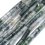 Natural Moss Agate Beads Strands, Column, 11~15x3.5~4.5mm, Hole: 1~1.2mm, about 28~30pcs/strand, 15.1~15.9 inch(38.5~40.5cm)(G-F631-D30)