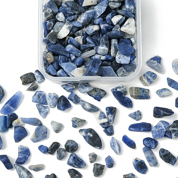 50G Natural Sodalite Beads, No Hole/Undrilled, Chip, 5~13.5x4~6x3.5~4.5mm