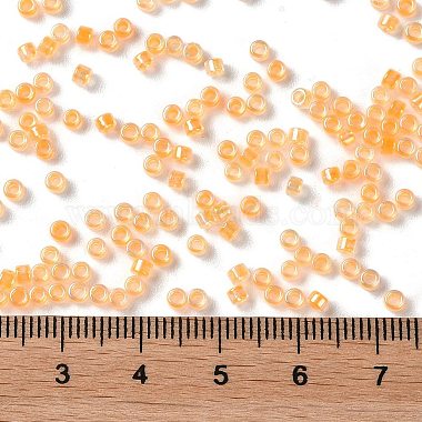 Glass Seed Beads(X-SEED-S042-13A-05)-4