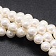 Chapelets de perles de coquille(X-BSHE-E008-4mm-12)-1