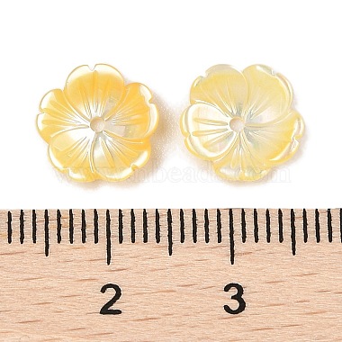 Natural Yellow Shell Carved Beads(SSHEL-I026-12A-01)-3