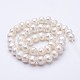 Natural Cultured Freshwater Pearl Beads Strands(PEAR-F004-55)-2