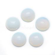 Opalite Cabochons, Half Round, 12x5~6mm(G-P393-R10-12MM)