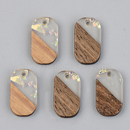 Transparent Resin & Walnut Wood Pendants, with Paillette/Sequin, Oval, Clear, 20.5x11.5x3mm, Hole: 2mm(RESI-S389-023A-E01)