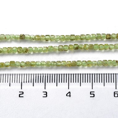 Natural Peridot Beads Strands(G-M421-B04-02)-5