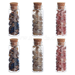 6Pcs 3 Styles Transparent Glass Wishing Bottle Decoration, Wicca Gem Stones Balancing, with Shell & Synthetic Cherry Quartz & Natural Quartz Crystal & Lapis Lazuli Beads Drift Chips inside, 27x78.5mm, 2pcs/style(PALLOY-MA00004)