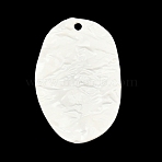 Alloy Pendants, Oval Charms, Spray Painted, Cadmium Free & Lead Free & Nickel Free, White, 40x26x3mm, Hole: 2.5mm(PALLOY-T096-15A)