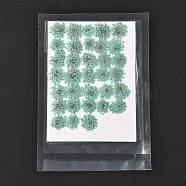 Pressed Dried Flowers, for Cellphone, Photo Frame, Scrapbooking DIY Handmade Craft, Aquamarine, 15~20x13~19mm, 100pcs/bag(DIY-K032-58H)
