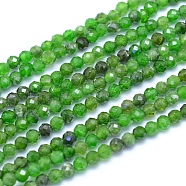 Natural Diopsidel Beads Strands, Faceted, Round, 2.5~3mm, Hole: 0.7mm, about 150pcs/strand, 15.75 inch(40cm)(G-I279-E01-01)