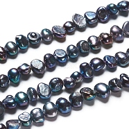 Natural Baroque Pearl Keshi Pearl, Cultured Freshwater Pearl Beads Strands, Two Sides Polished, Dyed, Nuggets, Slate Gray, 4.5~6x2.8~3.5x4.2~5mm, Hole: 0.5mm, about 37pcs/strand, 6.69 inch(17cm)(PEAR-I004-01A)