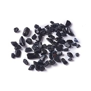 Natural Black Tourmaline Chip Beads, No Hole/Undrilled, 2~12x2~10x1~3mm, about 11200pcs/1000g(G-M364-16)