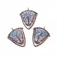 Natural Aquamarine Chip Big Pendants, with Brass Findings, Shield, Red Copper, 57~59x47.5x8mm, Hole: 5mm(G-F650-B12)