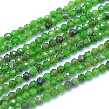Natural Diopsidel Beads Strands, Faceted, Round, 2.5~3mm, Hole: 0.7mm, about 150pcs/strand, 15.75 inch(40cm)