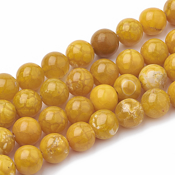 Dyed Natural Crackle Agate Beads Strands, Round, Goldenrod, 10~11mm, Hole: 1mm, about 38pcs/strand, 15.1 inch