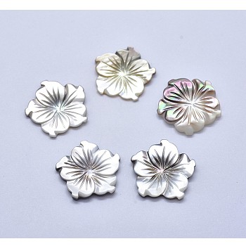 Shell Cabochons, Flower, 18~20x2~3mm