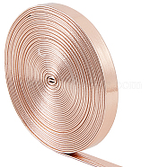 5M Flat Imitation Leather Cord, for Pillow Decor, Misty Rose, 8x1mm, about 5.47 Yards(5m)/Roll(LC-GF0001-02D-03)