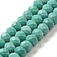 Dyed Natural Howlite Beads Strands(G-G023-A01-01C)-1