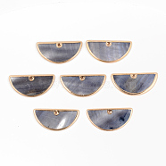 Natural Freshwater Shell Pendants, with Golden Plated Brass Edge, Fan, Dyed, Gray, 14.5x30x2.5mm, Hole: 1.2mm(SSHEL-R045-018)