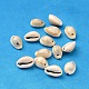 Natural Cowrie Shell Beads(X-BSHE-S049)-1