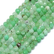 Natural Australia Jade Beads Strands, Faceted, Round, 2.5~3mm, Hole: 0.5mm, about 138~142pcs/strand, 15.35~15.55 inch(39~39.5cm)(G-G106-C01-02)