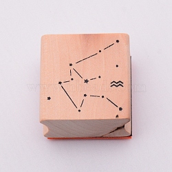 Wooden Stamps, with Rubber, Square with Twelve Constellations, Aquarius, 30x30x24mm(DIY-WH0175-46K)