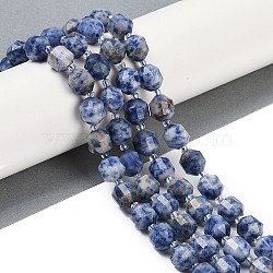 Natural Blue Spot Jasper Beads Strands, Faceted, Bicone, Double Terminated Point Prism Beads, 10x9mm, Hole: 1.2mm, about 38pcs/strand, 15.08''(38.3cm)(G-O201B-141G)