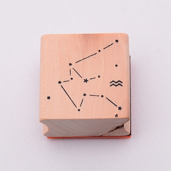 Wooden Stamps, with Rubber, Square with Twelve Constellations, Aquarius, 30x30x24mm