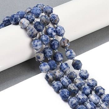 Natural Blue Spot Jasper Beads Strands, Faceted, Bicone, Double Terminated Point Prism Beads, 10x9mm, Hole: 1.2mm, about 38pcs/strand, 15.08''(38.3cm)