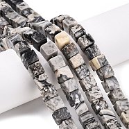 Natural Map Stone Beads Strands, Cube, 8~9x8~9x8~9mm, Hole: 1.2mm, about 47~49pcs/strand, 15.35~15.79''(39~40.1cm)(G-T139-8x8-20A)