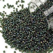 TOHO Round Seed Beads, Japanese Seed Beads, (180F) Transparent AB Frost Olivine, 15/0, 1.5mm, Hole: 0.7mm, about 3000pcs/10g(X-SEED-TR15-0180F)