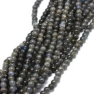 Natural Larvikite Beads Strands, Round, 6~6.5mm, Hole: 0.8mm, about 66pcs/strand, 15.55 inch(39.5cm)(G-O201A-07A)