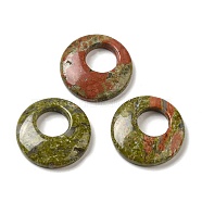 Natural Unakite Pendants, Donut/Pi Disc Charms, 27.5~28x4.5~5.5mm(G-T122-76F)