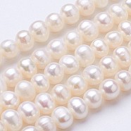 Natural Cultured Freshwater Pearl Beads Strands, Potato, Beige, 5~5.7x5.8~6mm, Hole: 0.7mm, about 77pcs/strand, 15.7 inch(PEAR-F004-08-01)
