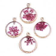 Transparent Clear Epoxy Resin & Dried Flower Pendants, with Edge Light Gold Plated Iron Loops, Flat Round, Camellia, 24x20x2.5mm, Hole: 1.8mm(RESI-S383-076B-B03)
