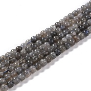 Natural Labradorite Beads Strands, Round, 4~4.5mm, Hole: 0.7mm, 15.43''(39.2cm), 97pcs/strand(G-I256-09)