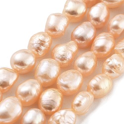 Natural Cultured Freshwater Pearl Beads Strands, Two Sides Polished, Grade 3A+, Sandy Brown, 5~6mm, Hole: 0.5mm, about 27pcs/strand, 6.89 inch(17.5cm)(PEAR-P062-32B)