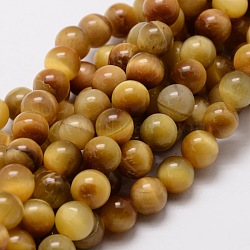 Natural Tiger Eye Round Beads Strands, Gold, 10mm, Hole: 1mm, about 38pcs/strand, 15.7 inch(G-E329-10mm-40C)