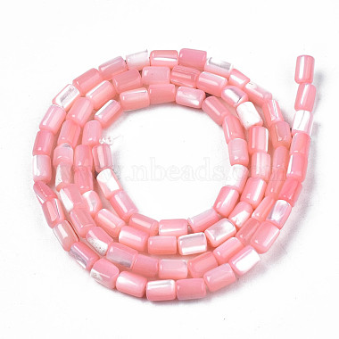 Natural Trochid Shell/Trochus Shell Beads Strands(SHEL-N003-26-B05)-2